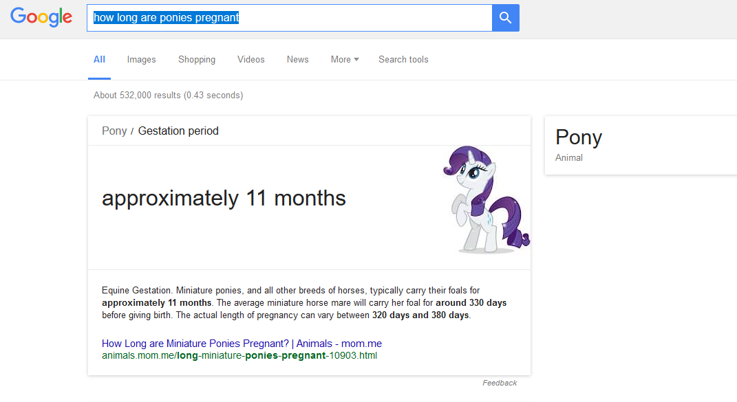 Inflated ponies 2024